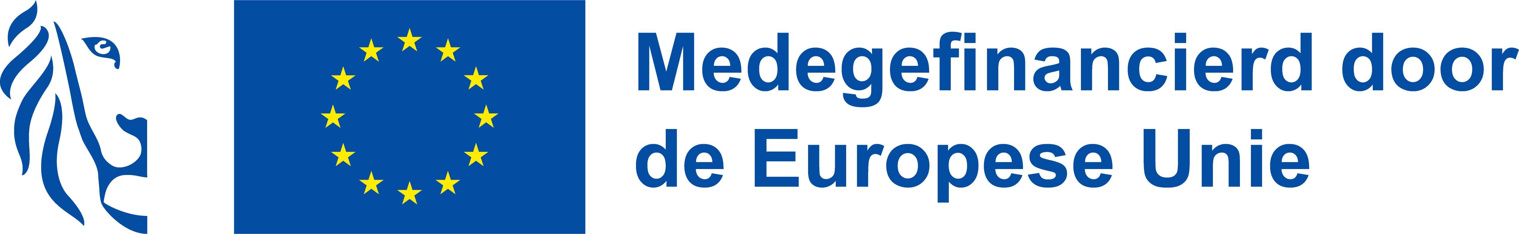 Logo VL EU