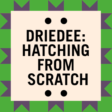 Driedee: Hatching from Scratch