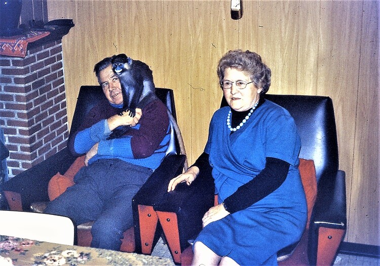 man en vrouw in zetel met aapje