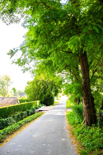 Baarbeekstraat: voor de werken