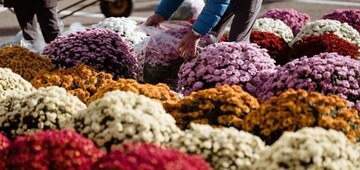 Bloemenmarkt aan de stedelijke begraafplaats