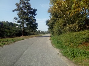 De Spildorenlaan voor de werken. Doordat auto's hier niet meer rijden, is al die verharding niet langer nodig.